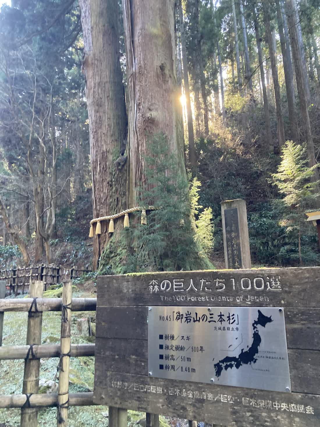 森の巨人たち100選に選ばれた御岩山の三本杉の案内板